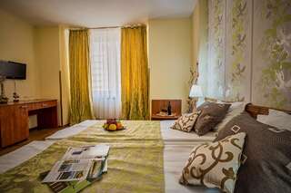 Отель Hotel Rina Cerbul Синая Двухместный номер с 1 кроватью или 2 отдельными кроватями-4