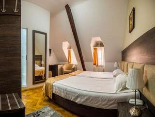 Отель Hotel Rina Cerbul Синая Двухместный номер с 1 кроватью или 2 отдельными кроватями-6