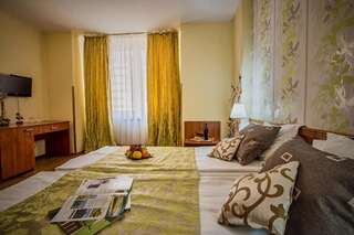 Отель Hotel Rina Cerbul Синая Двухместный номер с 1 кроватью или 2 отдельными кроватями-7